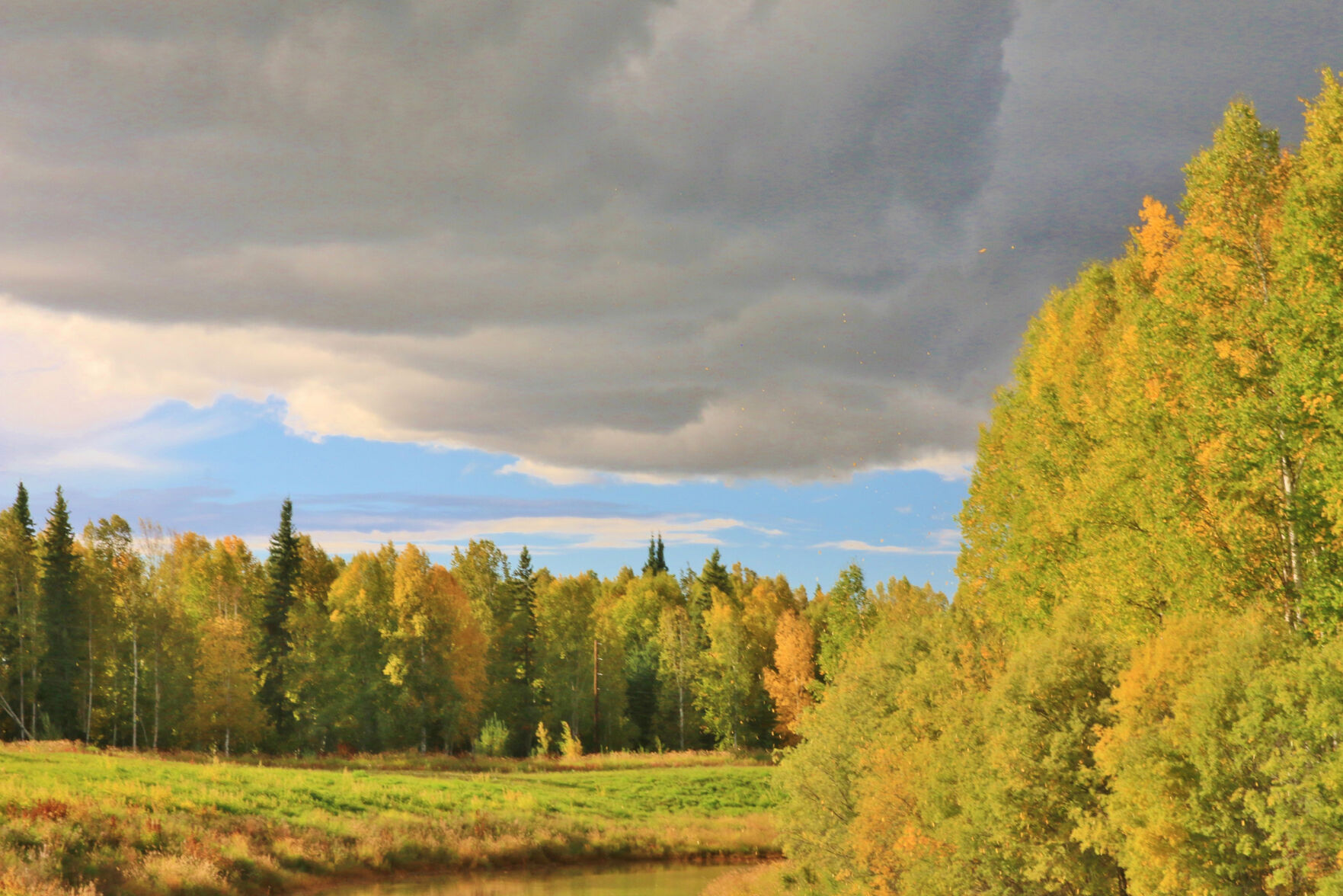 Chena Lakes autumn